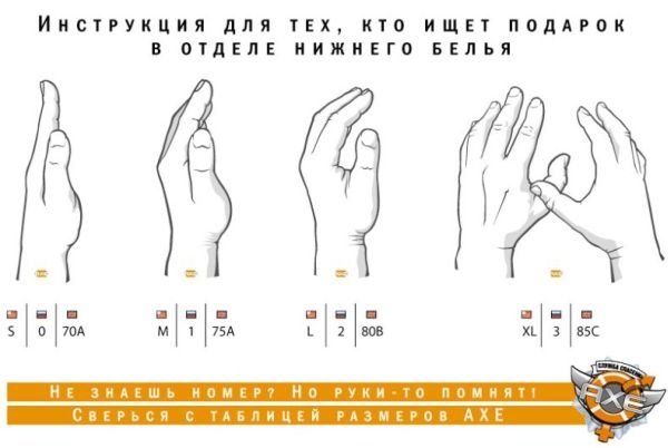 080e659694613f461a6bce1fb01e55d5