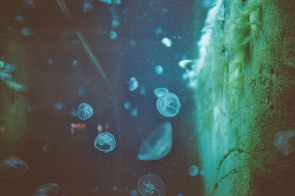 tumblr_lfk4hxH5Ir1qa7jt7o1_1280.jpg