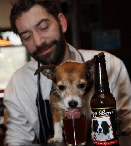 beer-for-canines2.jpg