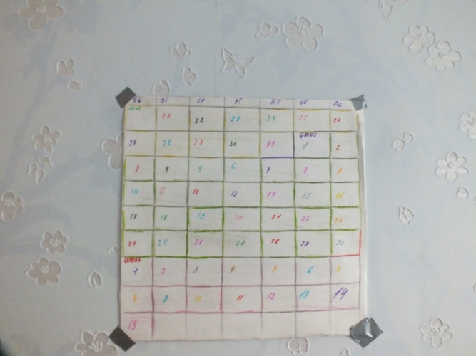 только мошки на хвосте 066.JPG